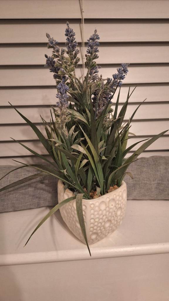 image for Fake lavender plant