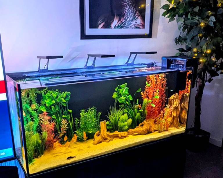 Aquarium Fish Tank 4ft