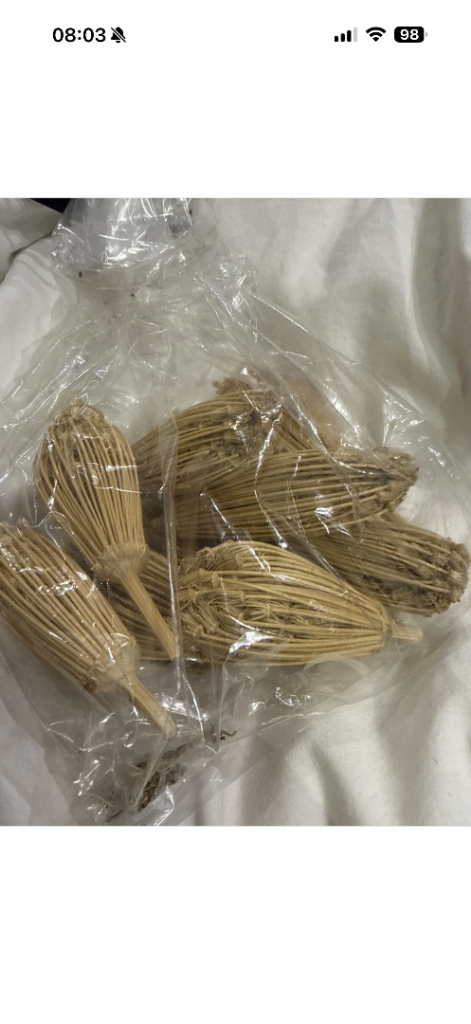 100 GRAMME Ammi Visnaga Khella Fresh Herb Dried Natural Organic Toothpick