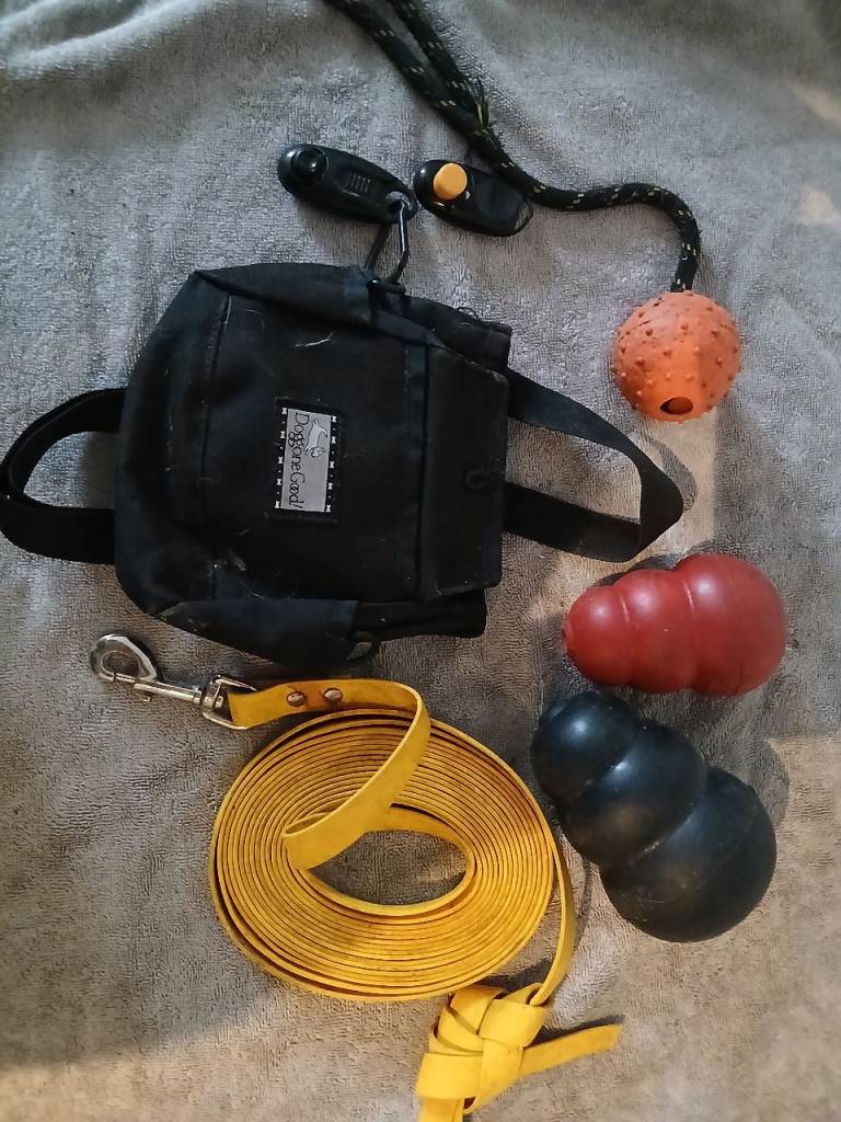 Premium Dog Training Bundle - BioThane 5.5m Long Line, Doggone Good Treat Pouch & KONGs