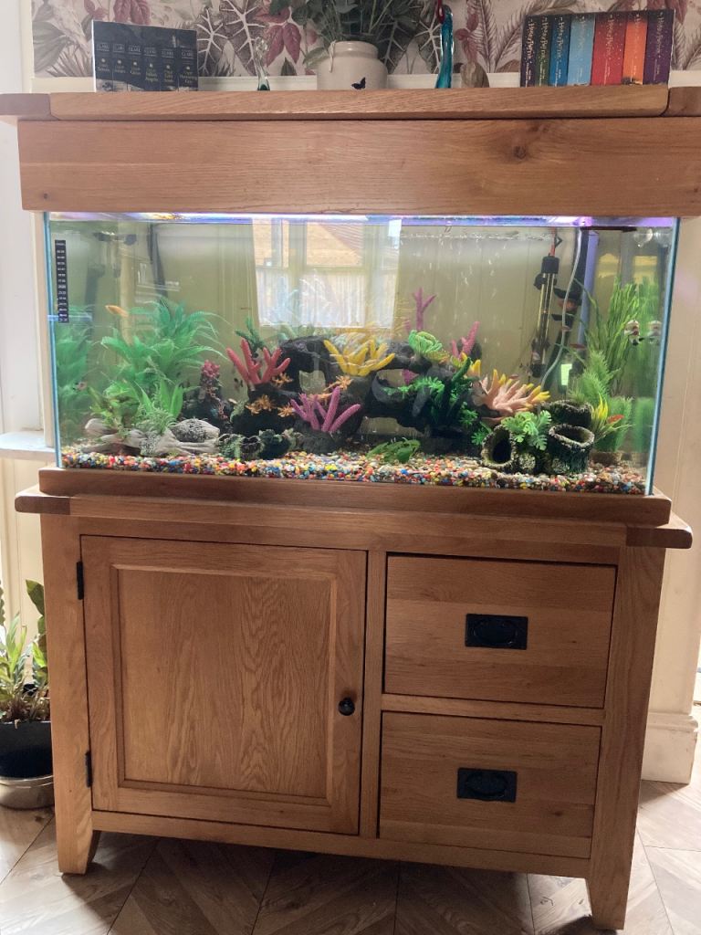 Second-Hand Aquariums for Sale in Pontypool, Torfaen | Gumtree