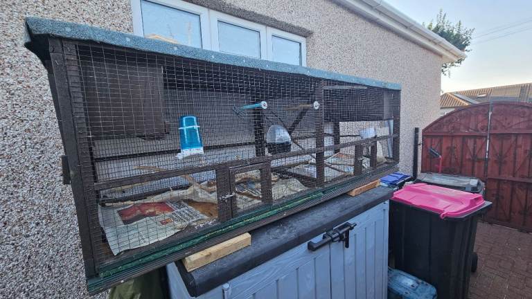 Outdoor bird cage.