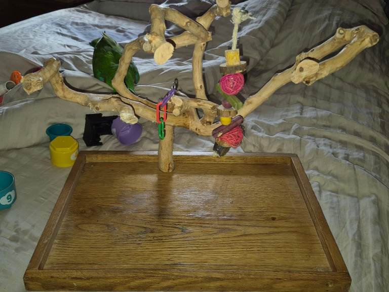 Parrot play stand 
