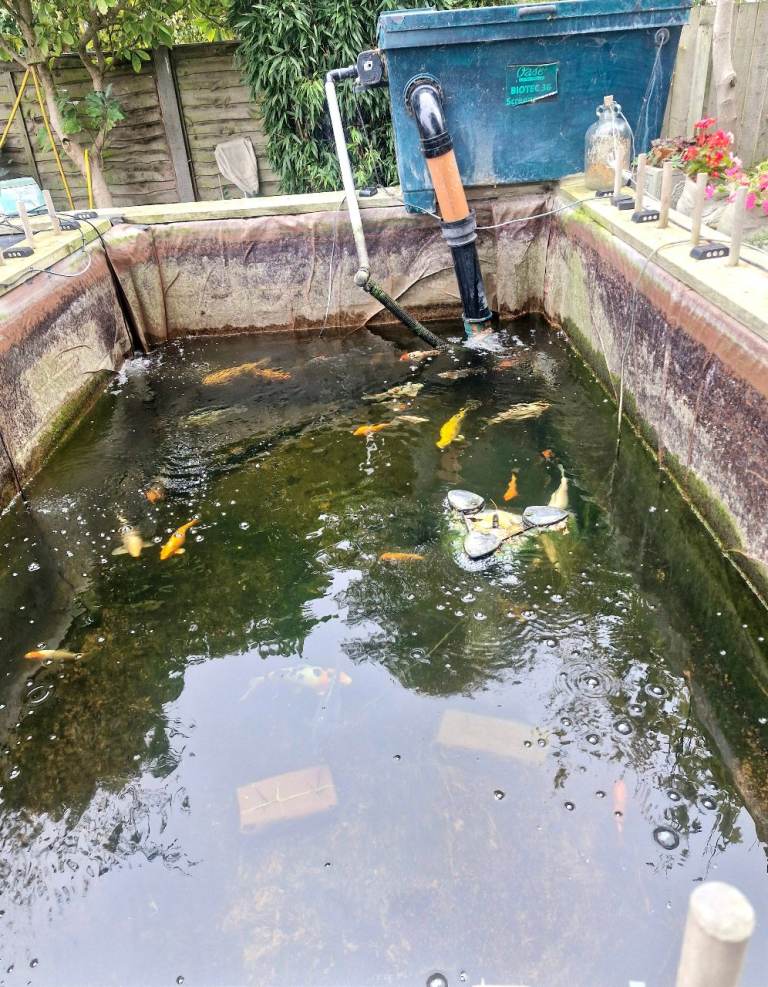 Pond closure - no 1