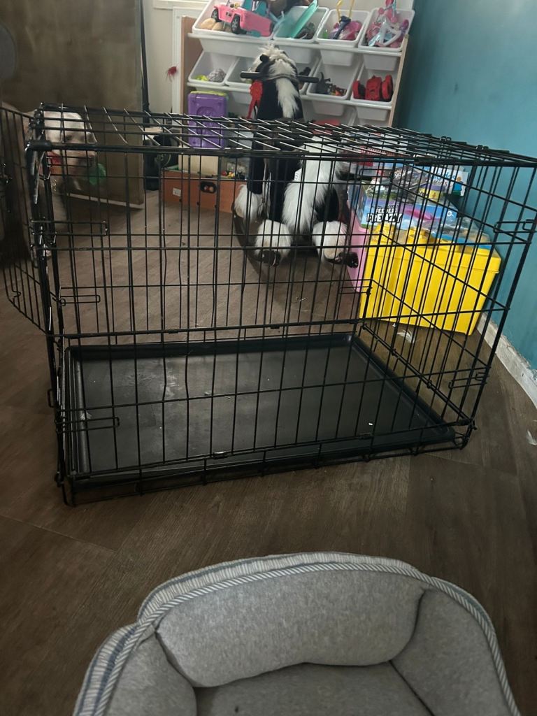 3 different size dog creates