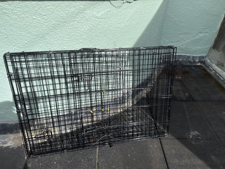 Free extra large dog crate