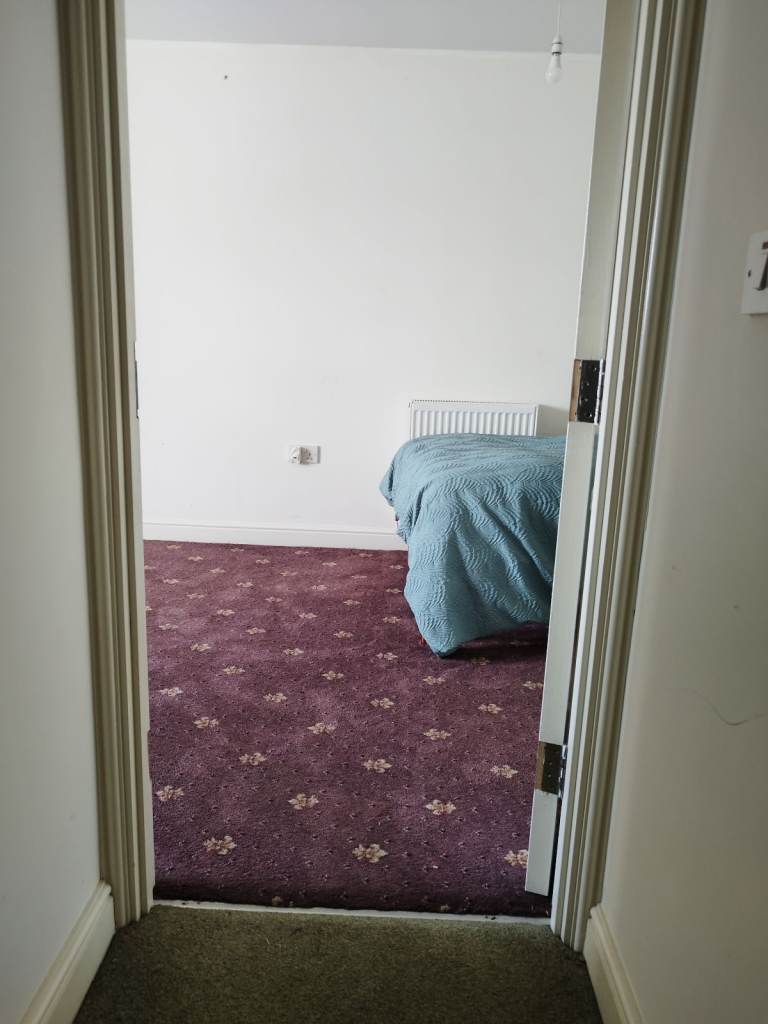 Large en-suite room to rent 