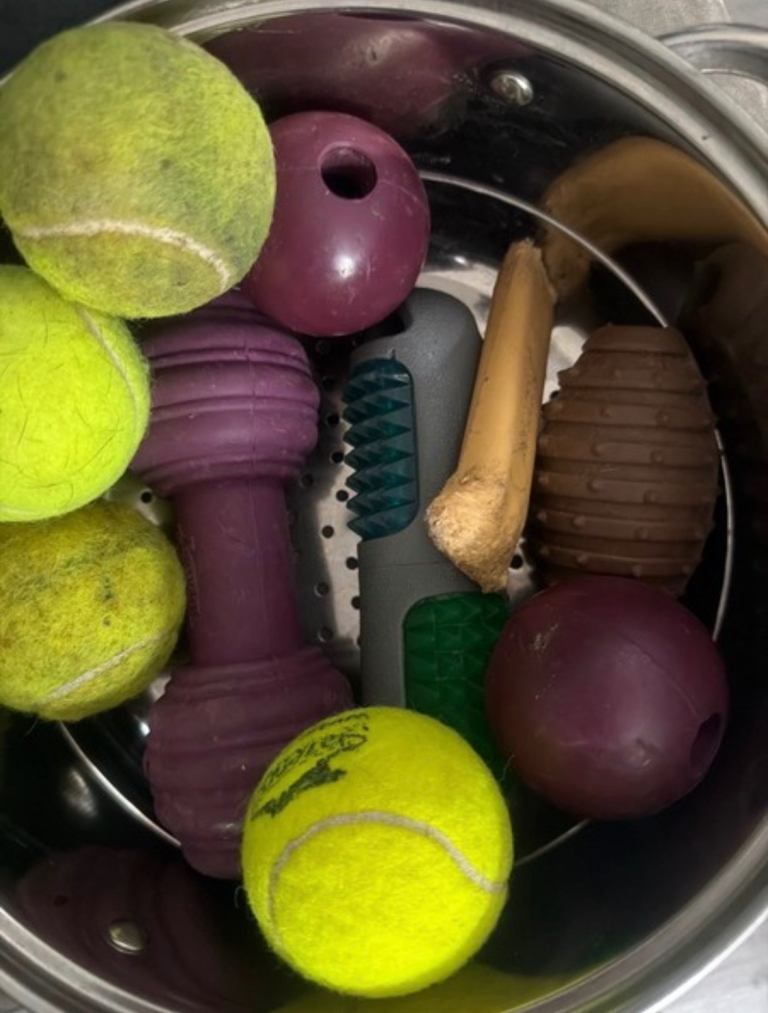 Used dog toys 