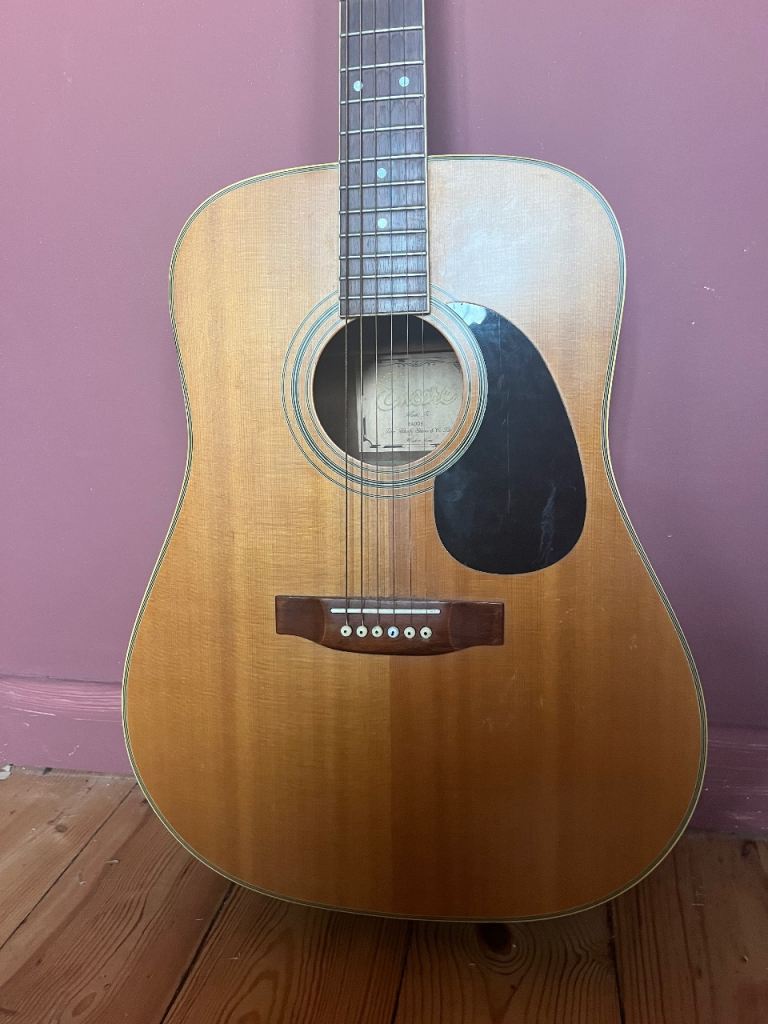 Acoustic Guitar 
