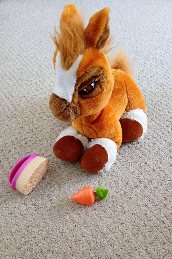My Little Pony Style Plush Toy with Brush & Carrot