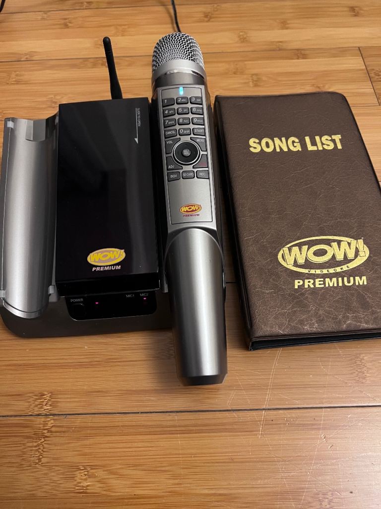 Karaoke machine with microphone - echo effects 