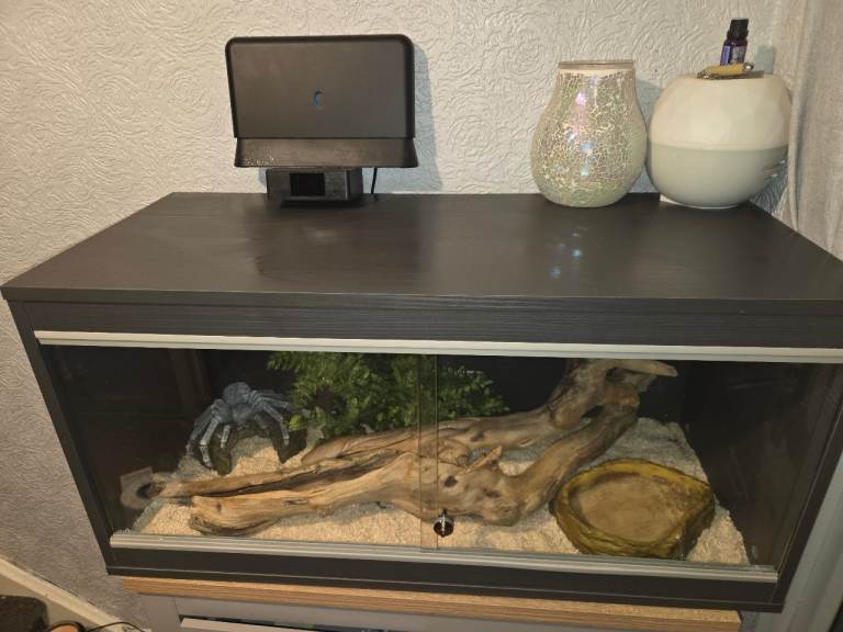 Vivarium for sale (Please Read Discription)