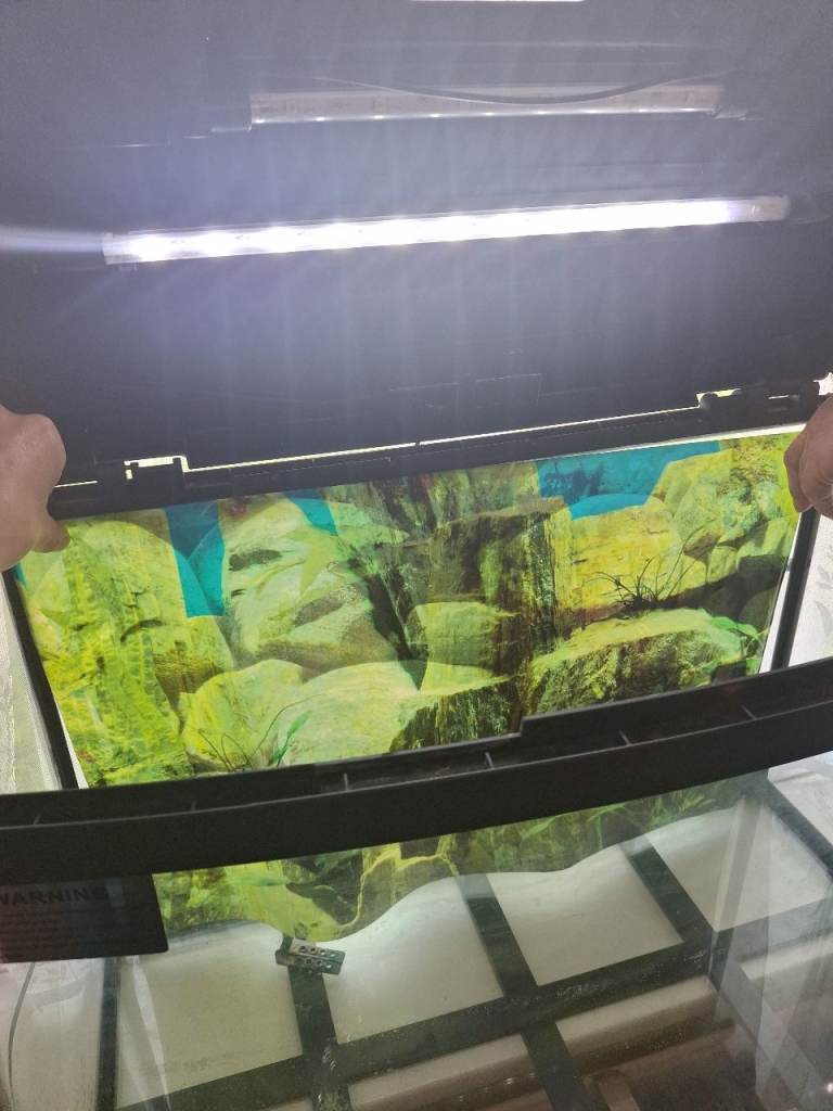 Fish Tank For Sale