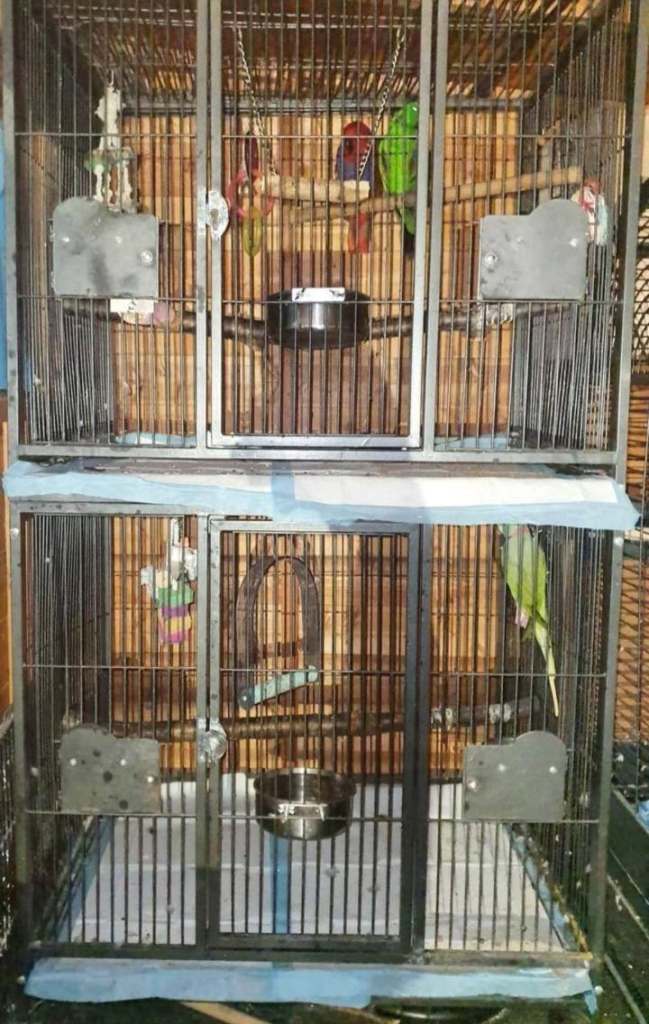 Xx large double bird cage on wheels