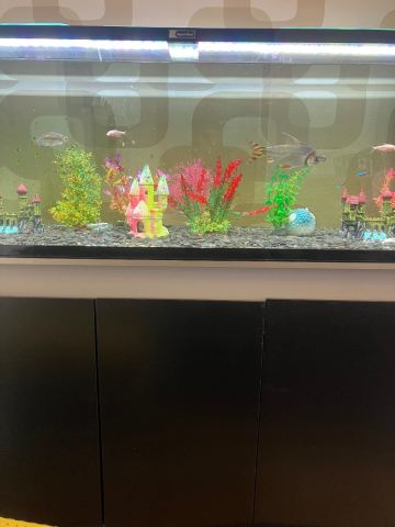 aqua one fish tank accessories AnRui Betta Decor Ceramic Jar Aquarium Decorations Cute Clay Pot Hideout Cave Ornaments for Small Fish, Shrimp, Cichlid to Play Hide Breed, Large : Pet Supplies which includes both white and blue bulbs Aqua One Fish Tank with