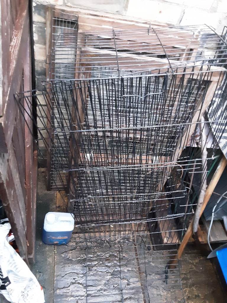 Ferplast animal cage guinea pig pet 