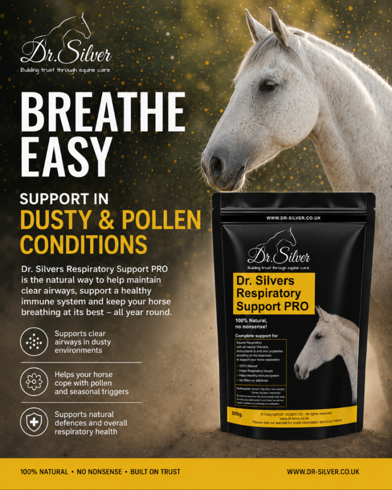 Dr Silver Equine Supplements & Infra red/RedRelief Devices Supporting Horses Naturally