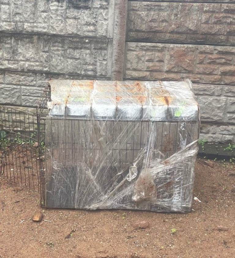 Dog/Animal cage
