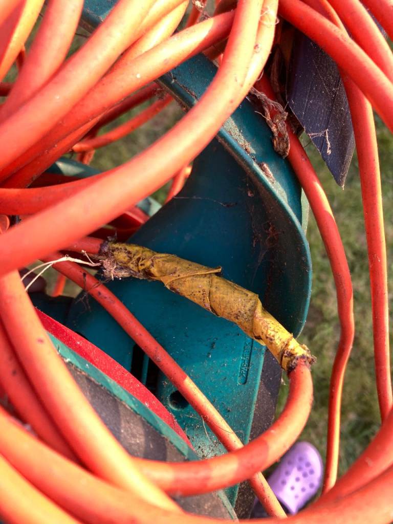 BOSCH HEDGE TRIMMER WORKING FLEX REPAIRED 550W BLADE COVER 