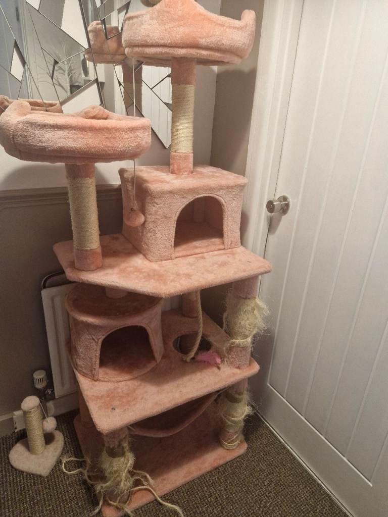 Cat stand pink