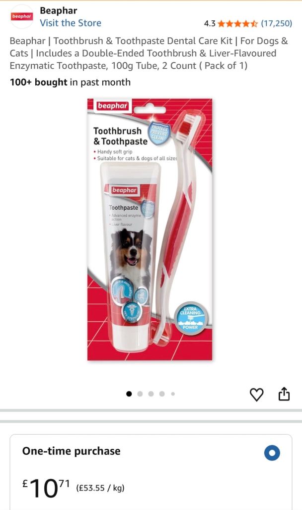 Pet toothbrush with toothpaste 