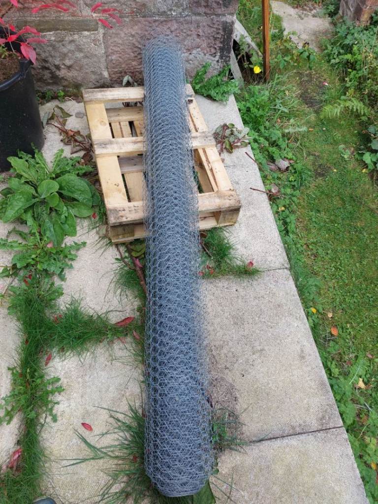 Chicken wire 1.8 m x ca. 12 m - high quality