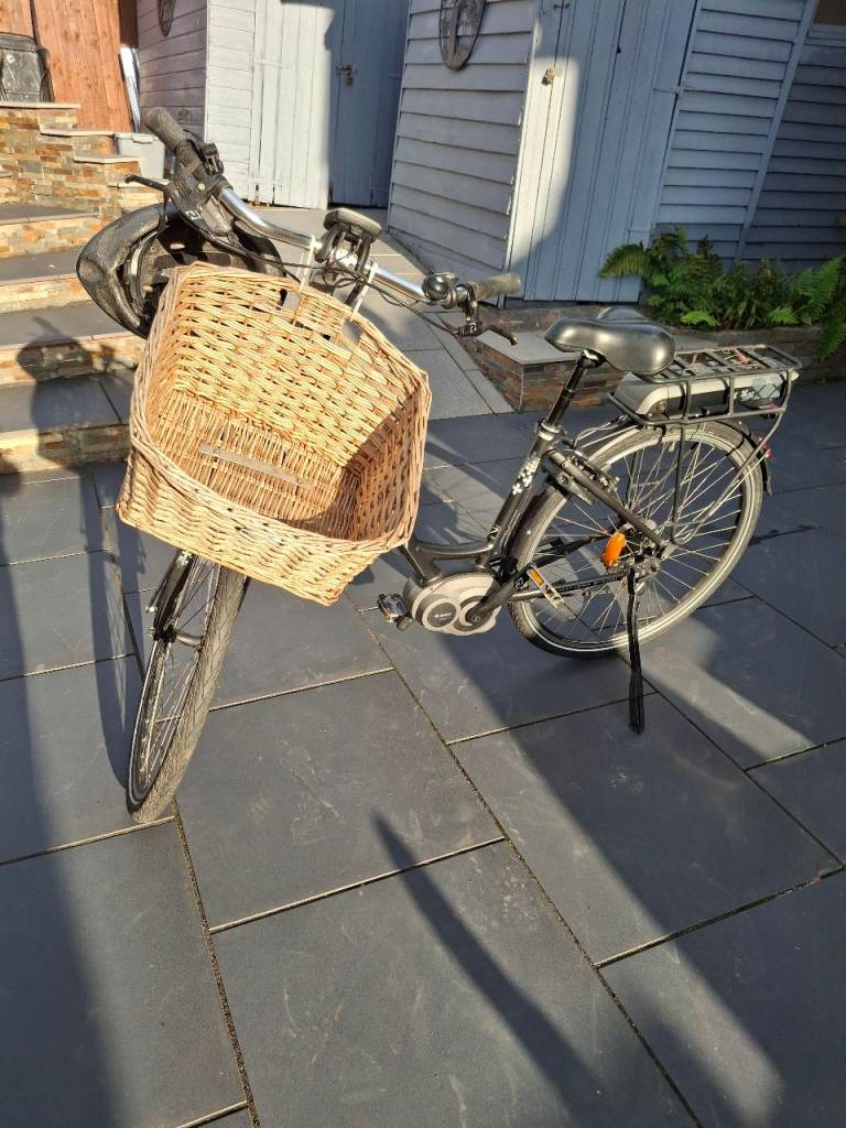 electric assisted bike