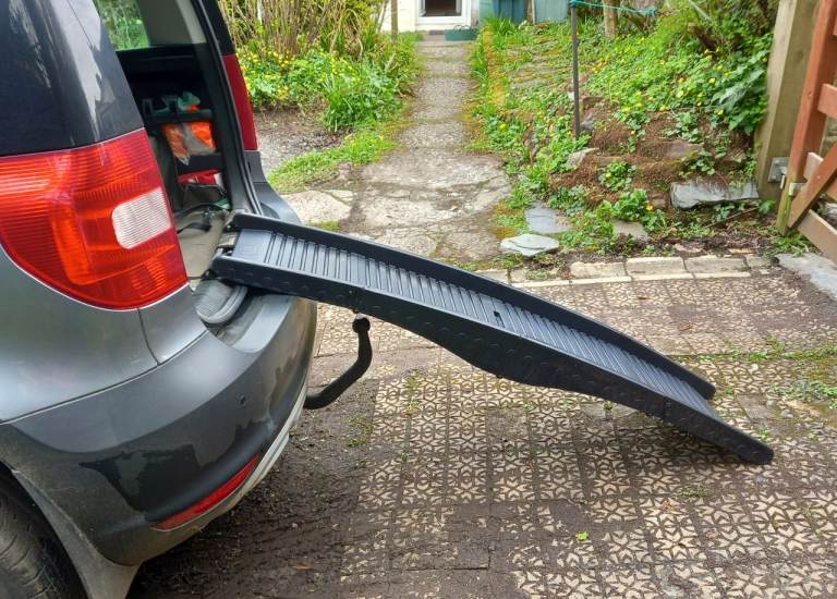 Folding dog ramp