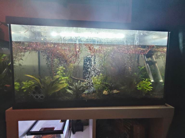 110 litres - aquarium tank