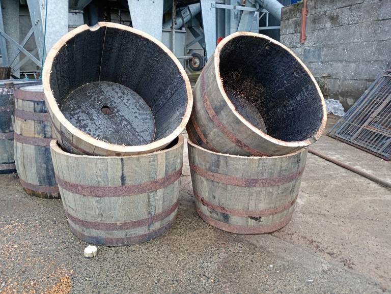 Oak barrels of various sizes