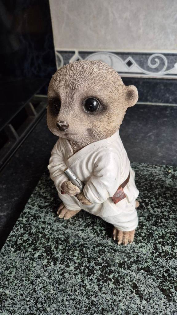 Garden meerkat