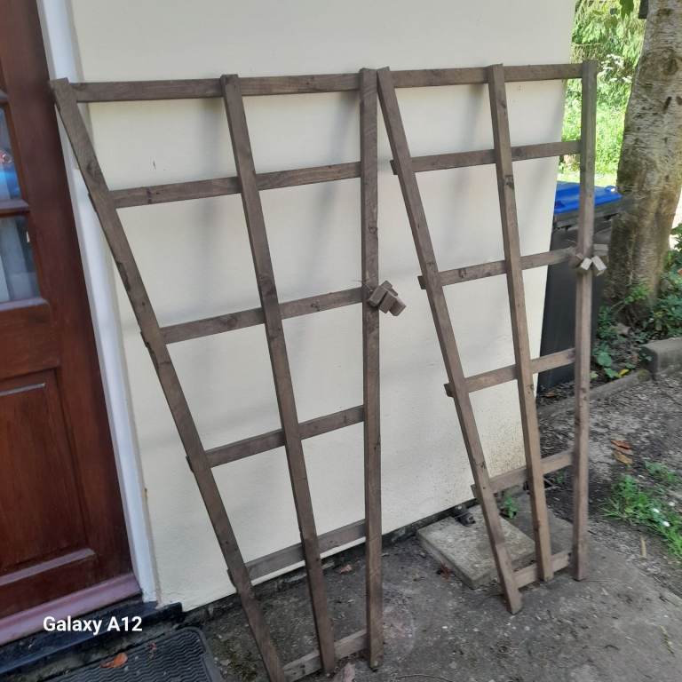 Trellis 