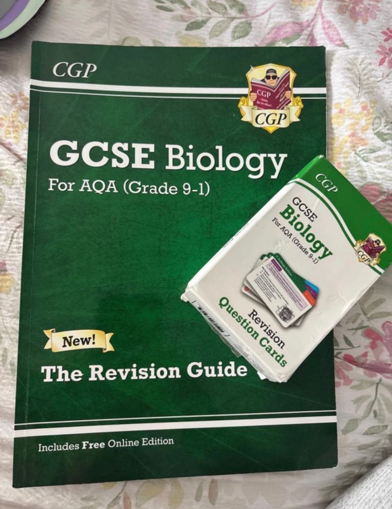 GCSE study books and flash cards 