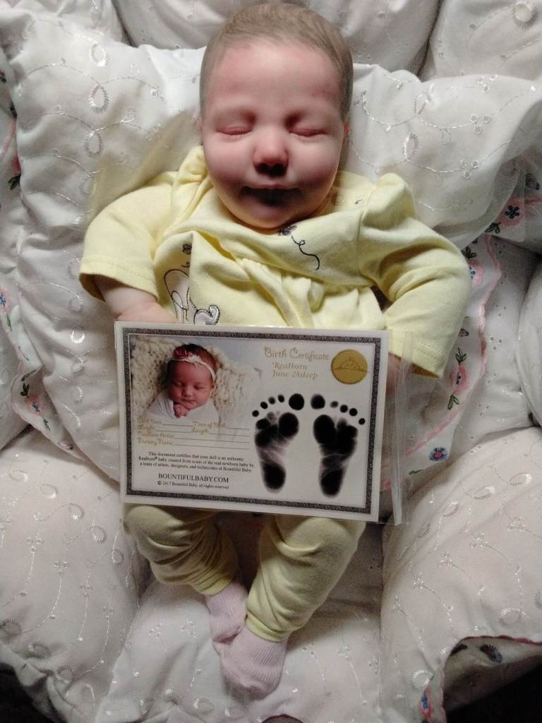 Reborn June Asleep Original Girl Lifelike Doll brand new condition with certificate 8 images signs