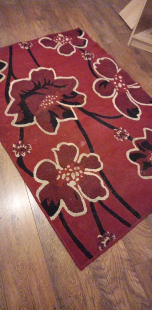 red rug , 62 inch x 45 inch , local delivery included