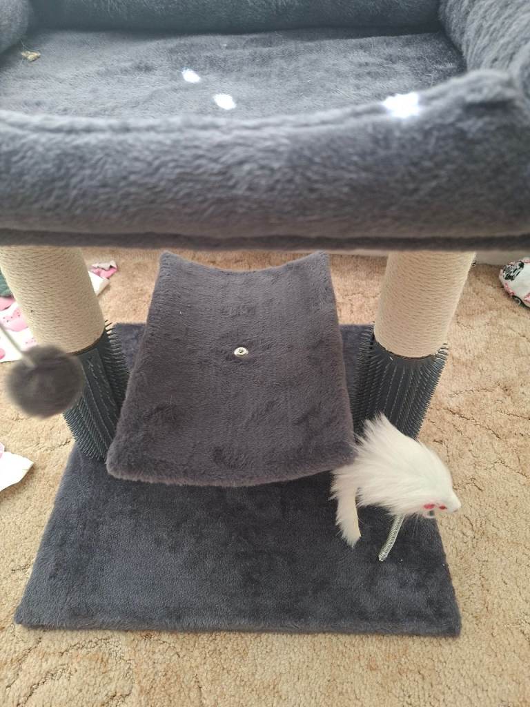Cat post