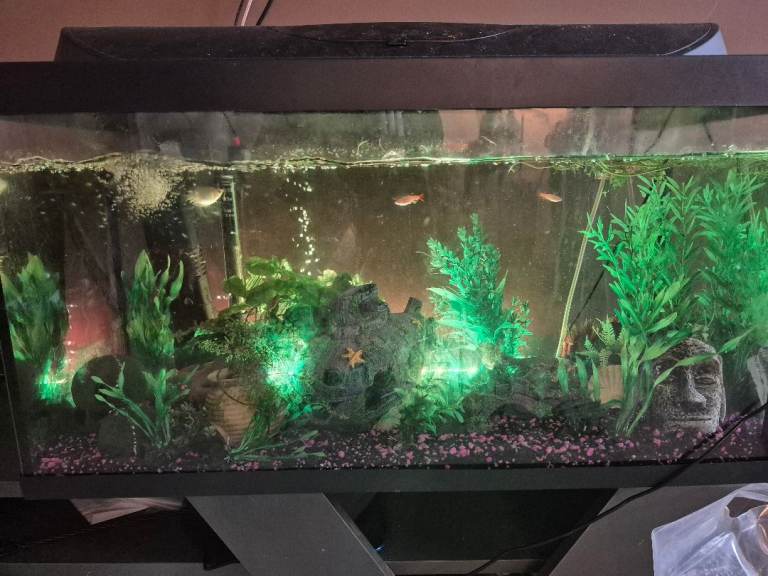 Large Fish Tank Aquarium with Accessories – Good Condition