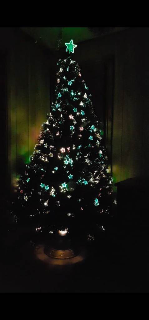 CHRISTMAS TREE FIBRE OPTIC 