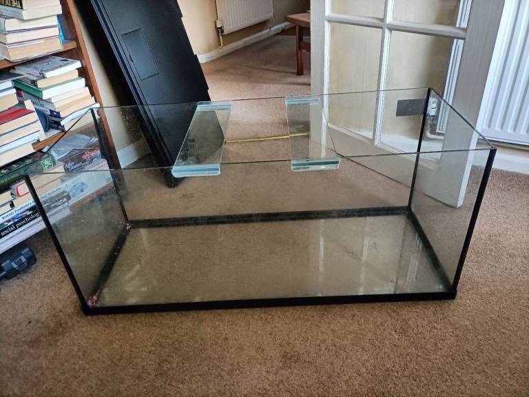 Large fish tank