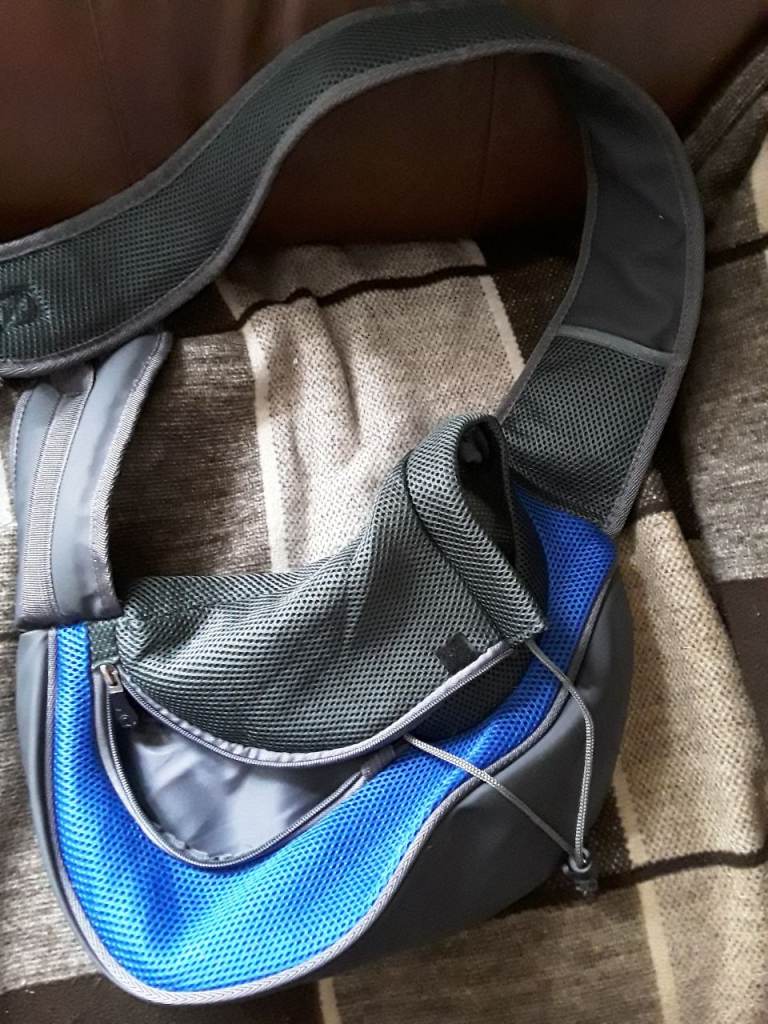 Small pet carrier 