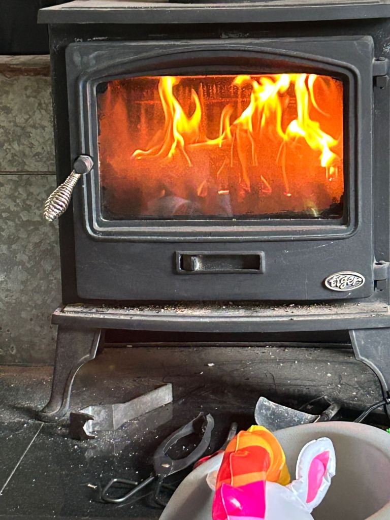 Wood Burner 