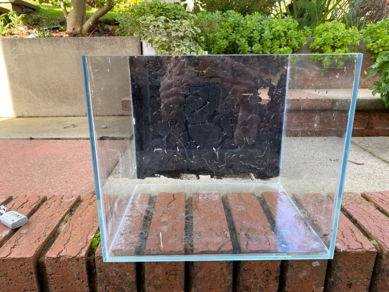 Glass fish tank