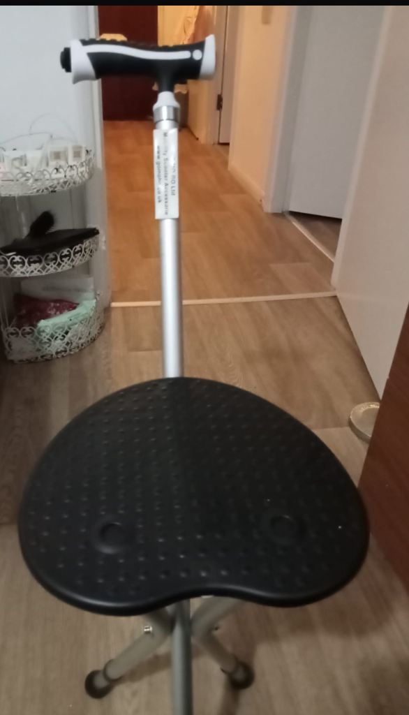 Folding Mobility Seat/Walking Stick – Good Condition