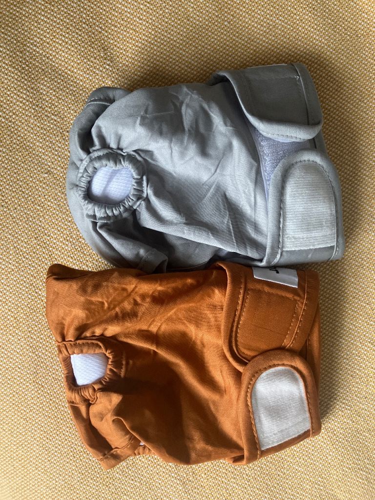 Dog Hygiene Pants