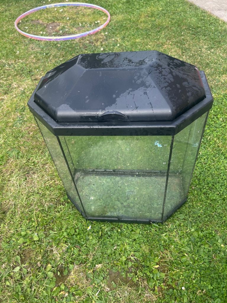 Hexagonal Glass Aquarium Tank with Black Lid