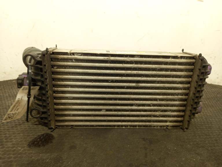 Peugeot 208 Intercooler 2020-2023 1.2l Eb2adtd (Hnk) Rde2 9824742280