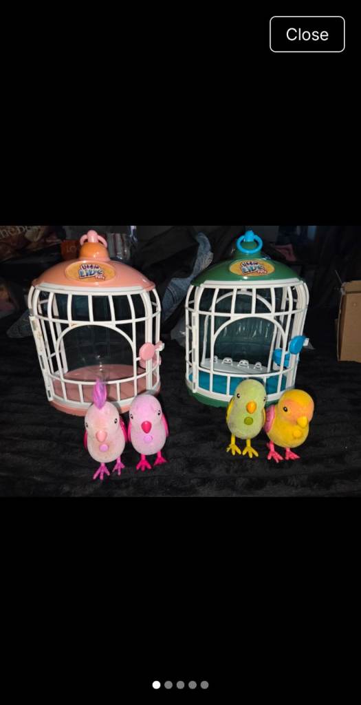 4 Little live pets interactive birds and 2 cages