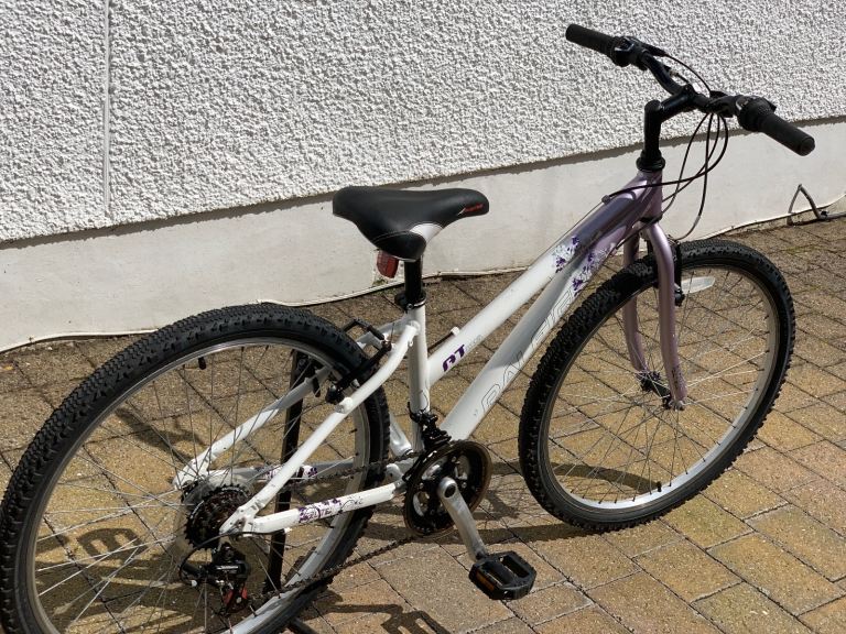 Raleigh 26 inch Bicycle 