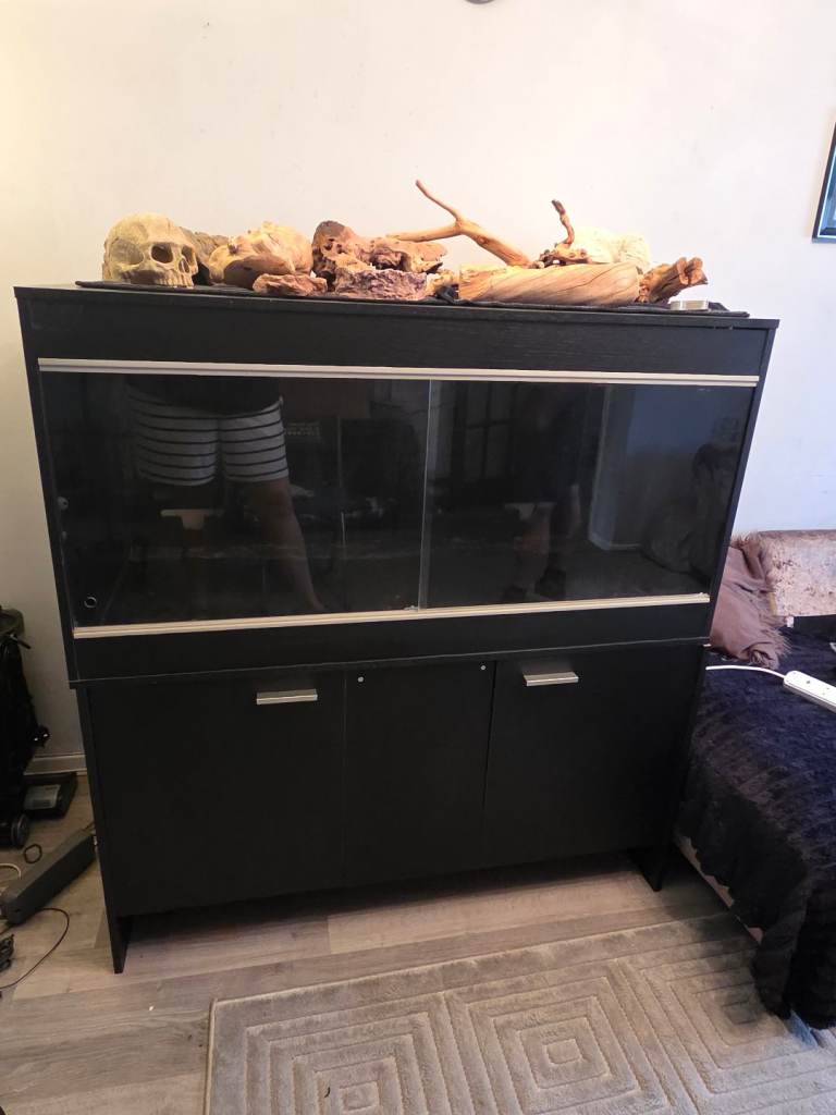 Vivarium on cabinet