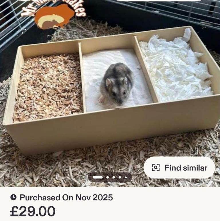 3 compartment large beige dig box for Hamster or small animal